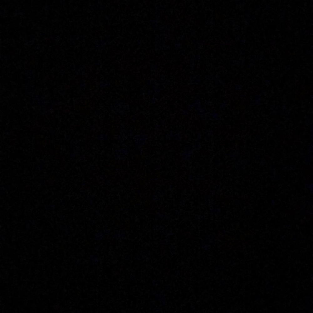 Meet your Posher, Isabella